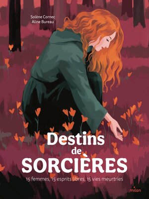 cover image of Destins de sorcières